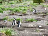 Foto: Tierra del Fuego. Gateway to the Icy Continent